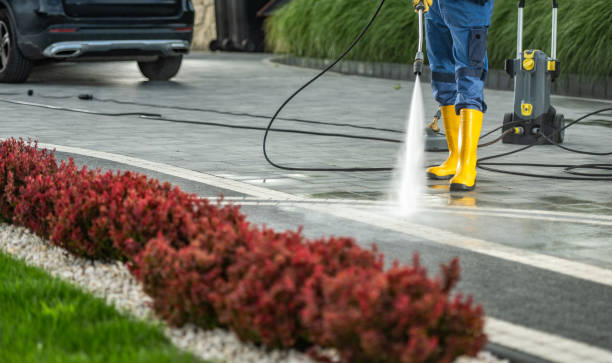 Animal Enclosure Cleaning in Camden, SC